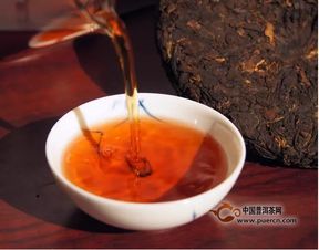 各类茶如何控制出汤时间