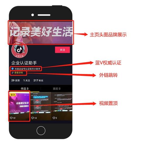 新晋内容营销前沿阵地,抖音企业号了解一下