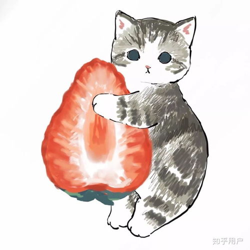 猫猫头像ins高级质感头像