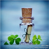 幸运草微信头像白菊