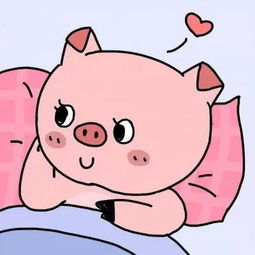 2019猪年卡通情侣头像