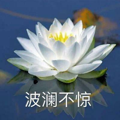 微信头像图片2020荷花带字系列荷花带字微信头像高清大全集