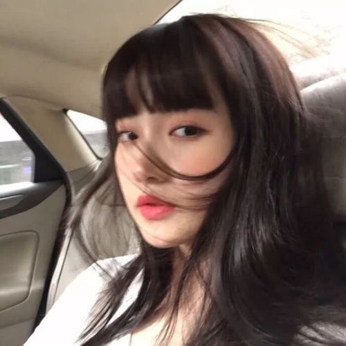 无标题