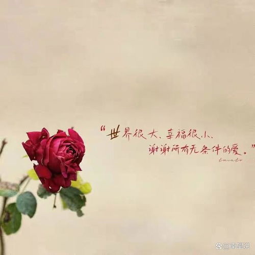 适合长期不发朋友圈的你