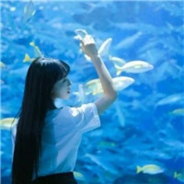ins优质闺蜜头像双人蓝色系