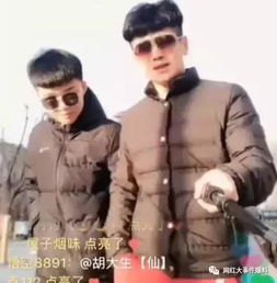 仙家欲签牌牌琦,散打让出斗门老大位子,二驴开启新模式