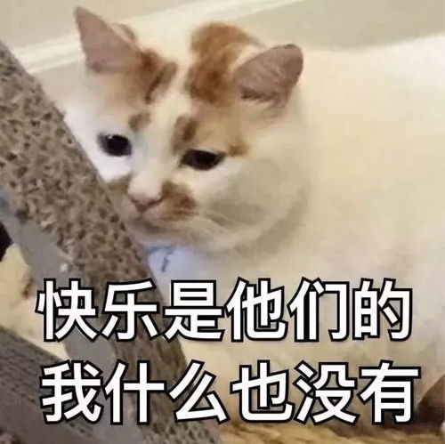 就在12月24日,这位世界明星将刷爆南宁圣诞活动现场