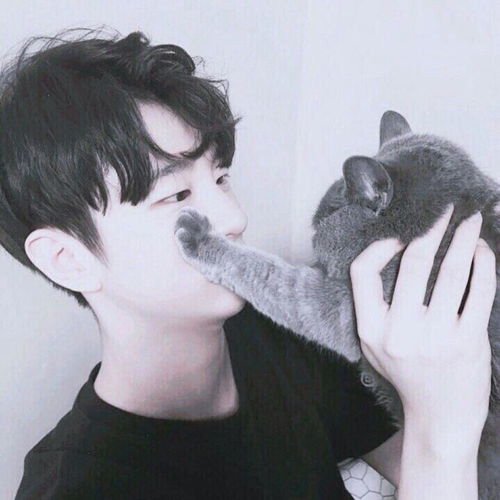 上班族可以搞哪些副业副业的收入是工资的三倍