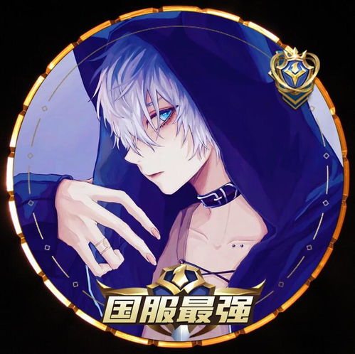 王者荣耀国服最强职业头像