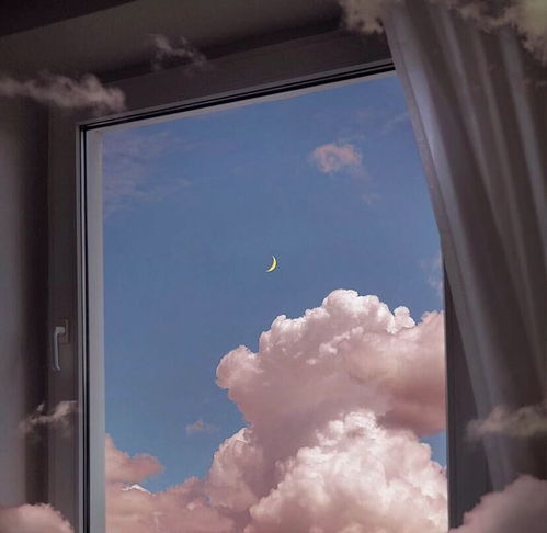 我的星空.你的梦