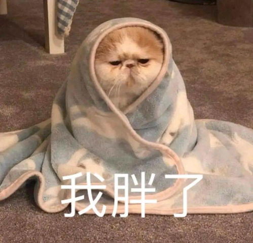 100张抖音个性头像,每一张都好好看