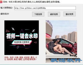 全网短视频去水印免费下载工具v1.0最新版下载