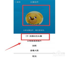 qq动态头像如何设置