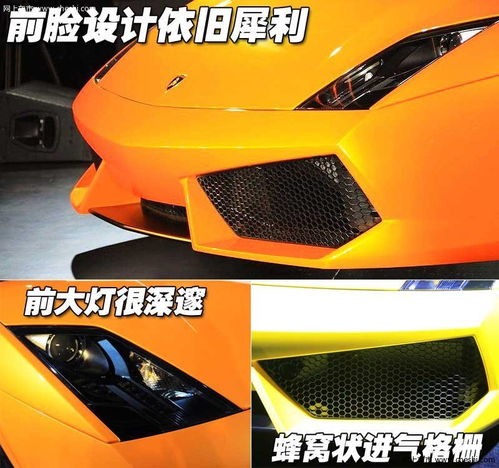 gallardo活动图片440815