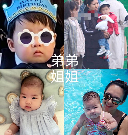 章子怡一家五口打卡环球影城,儿子正脸曝光,眼睛略小不像妈妈