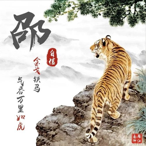 漂亮的莲花微信头像生肖虎