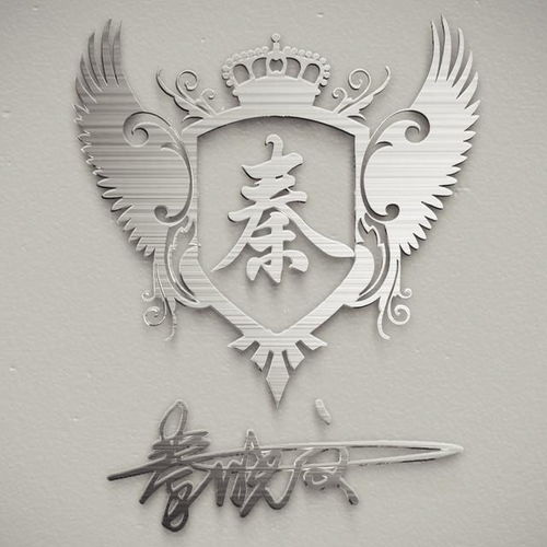 高端银色质感姓氏头像,足足12张,打造你的专属标志