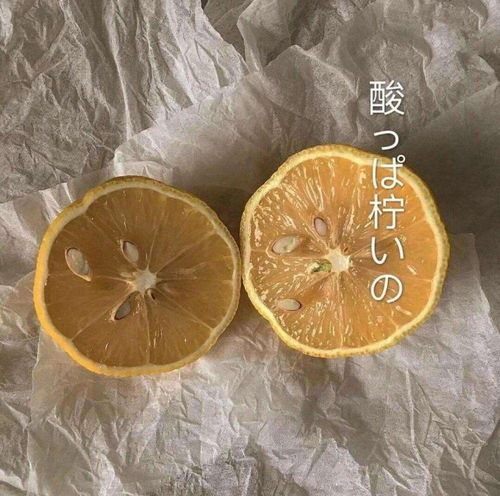 网易云热评如果错过了早上5点的太阳,那不如看看傍晚的夕阳,意思是