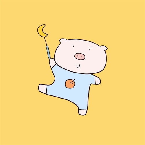 大自考与小自考的区别