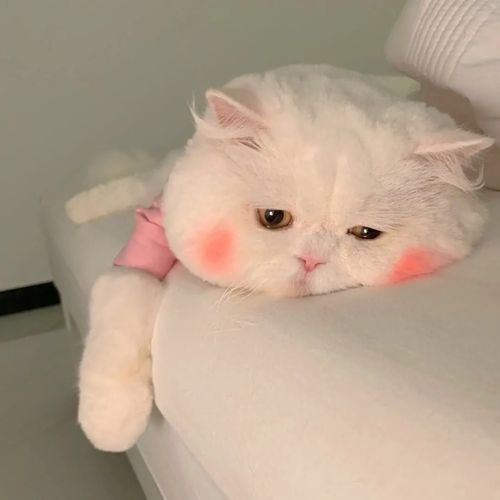 情头丨腻歪反过来怎么读