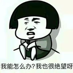 济南最新赏花攻略来了,哪里花最好看赏花期,赏花地记好了