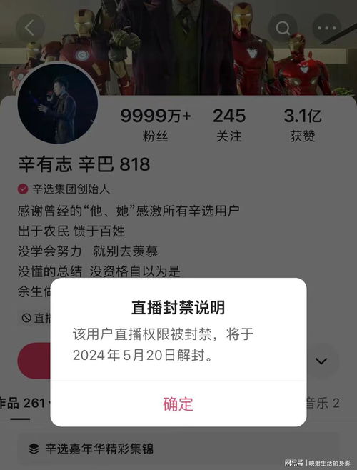 快手还是舍不得这颗摇钱树,辛巴账号永封已被取消
