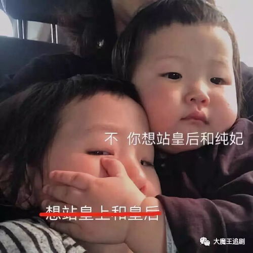 于妈一夜霸屏这部70集的宫斗剧看得好苏爽,霍建华周迅又晚了一步