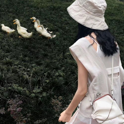 女头背影三还不快收藏