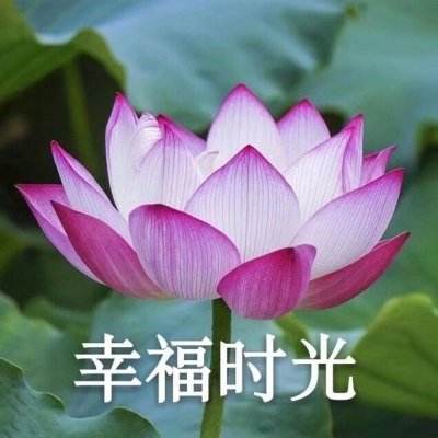 新潮娱乐app官方中国ios安卓通用版iphone手机app下载