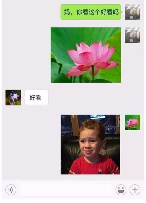 母女聊天记录曝光妈妈因为这事竟要跟女儿断绝关系结果...