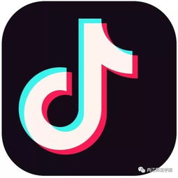 新媒体招新最强实力天团,只差一个你