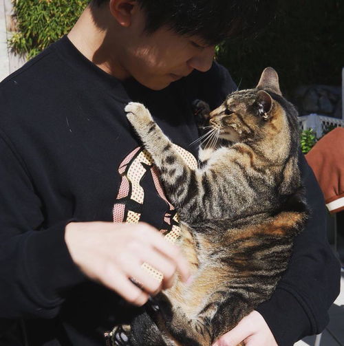 如何评价易烊千玺的ins内容