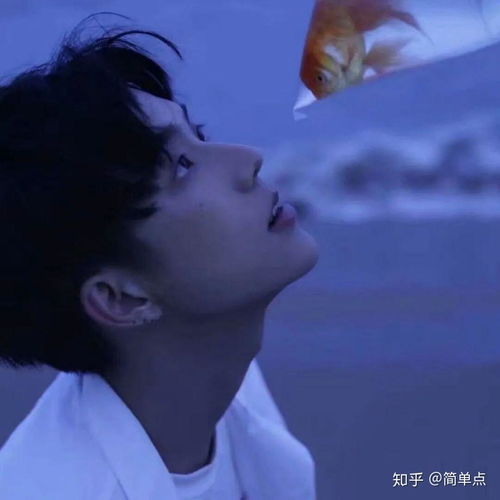 网易云音乐上看到过最触动的热评是什么