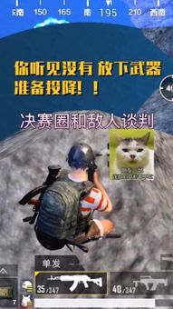 牧童刺激战场童快手直播