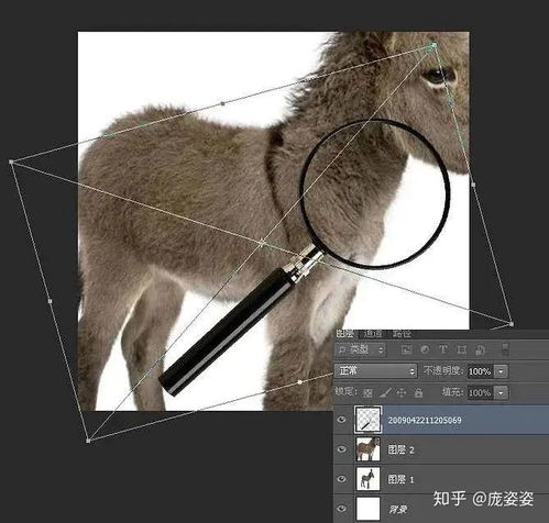 ps制作gif动态图庞姿姿