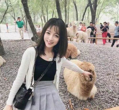 抖音五大女神,起司姨太上榜,图五现在比停车场的那个女人还火