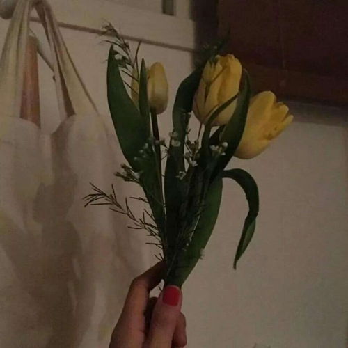 安奈ins风治愈系背景图等到苦风景静物头像我要个性网