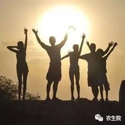 知恩于心,感恩同行