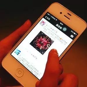 东北男子微信朋友圈公然辱骂警察,长兴警察这样做......