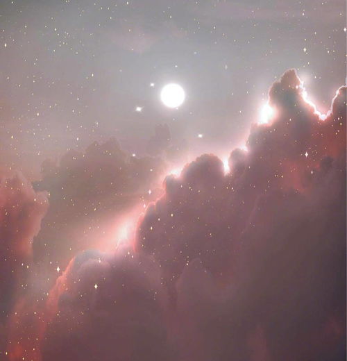 看起来高冷傲娇,实则外冷内热的星座