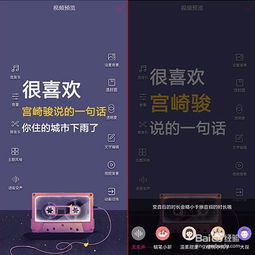 抖音带文字和音频的视频是什么软件制作的