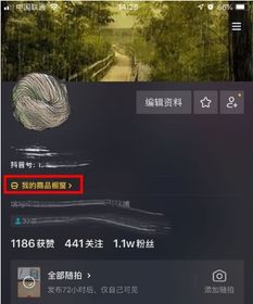 抖音加淘客链接要求是什么淘客的链接放抖音选什么类目