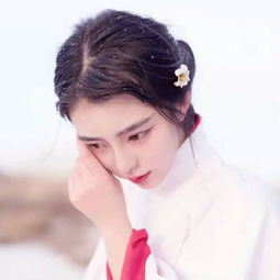 香车美女撩人心
