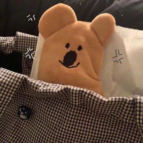 头像想和你维持现状