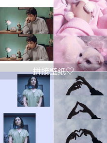 黑哥的主页快手直播