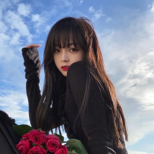 晚晚风女头我们都会因为嘴硬失去很多东西吧