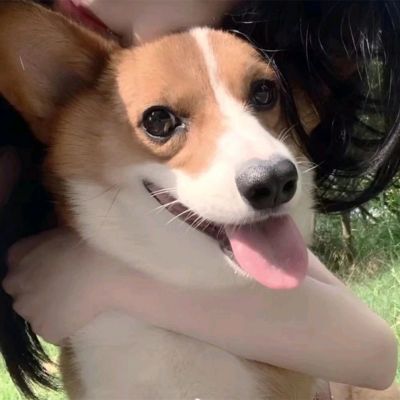 高清ins超仙优质情侣头像情侣头像我要个性网