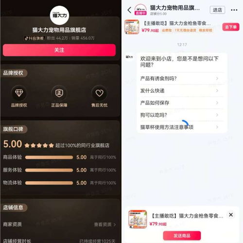 抖音头像透明天天向商