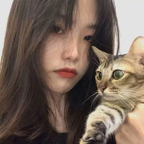 你会钟意很久的小众惊艳文案