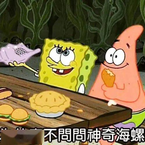 如何给狗挑选一个合适的项圈